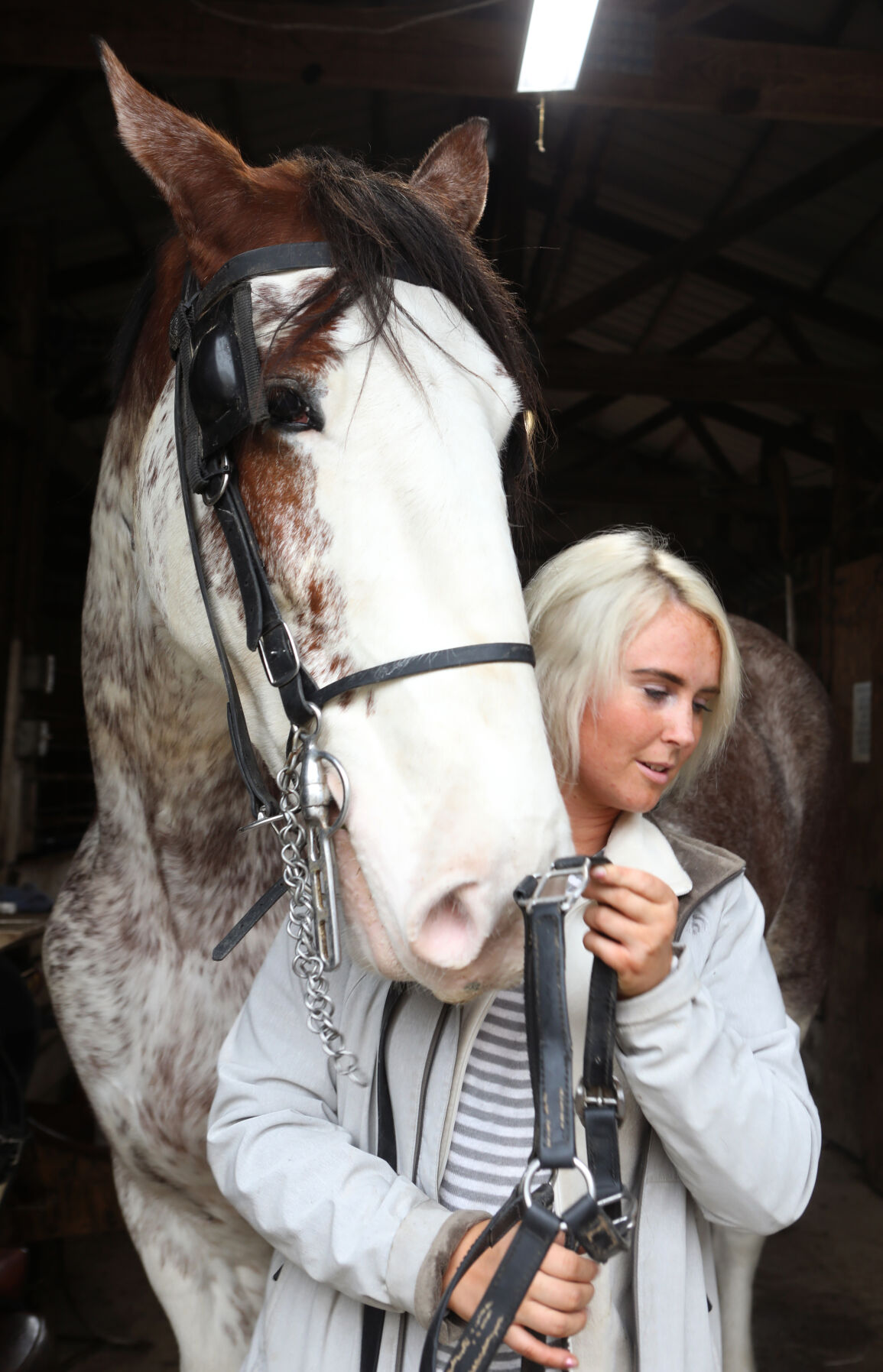 Michaela Redeker takes Jordy's harness